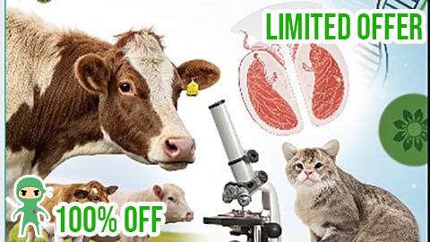 Free Coupon Animal Reproduction: Anatomy, Physiology, and Biotechnology