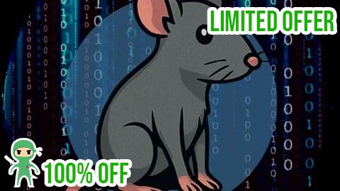 Free Coupon CAPIE - Certified API Hacking Expert Course Content