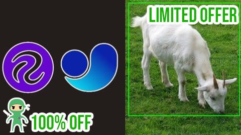 Free Coupon Complete Goat Detection and Counting Using YOLOv11