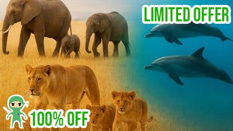 Free Coupon Etholog in actiony: How Animals Think & Survive in the Wild