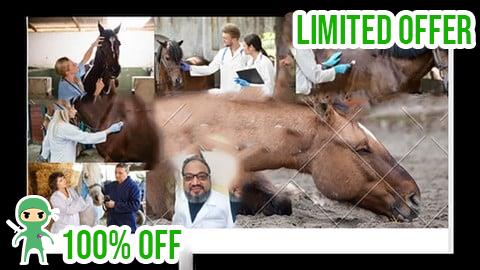 Free Coupon horse colic  what can we do