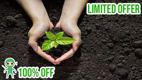 Free Coupon ISO 14001 Implementation Step by Step With Templates