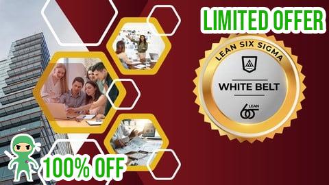 Free Coupon Lean Six Sigma White Belt: Quality Improvement Basics -Hindi
