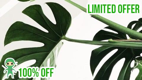 Free Coupon Learn Classroom Leadership That Works