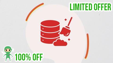 Free Coupon Mastering Data Cleansing: Techniques and Best Practices