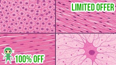 Free Coupon Mastering Histology: Microscopic Anatomy Made easy