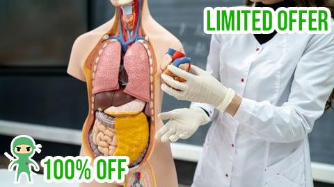 Free Coupon Medical Coding Part 2: CPT Coding & Medical Billing Basics
