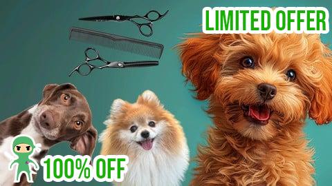 Free Coupon Pet Business with Dog Grooming  for Aspiring Petpreneurs