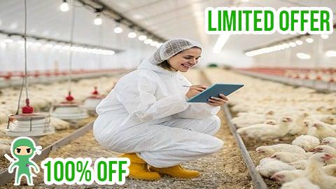 Free Coupon Profitable Broiler Farming: Step-by-Step Guide