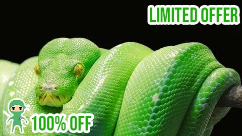 Free Coupon Python Development Essentials