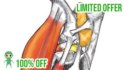 Free Coupon Región femoro tibio rotuliana, anatomia, biomecanica y casos