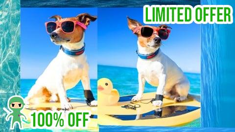 Free Coupon Solving Dog Behavior Problems: Become a Certified Trainer