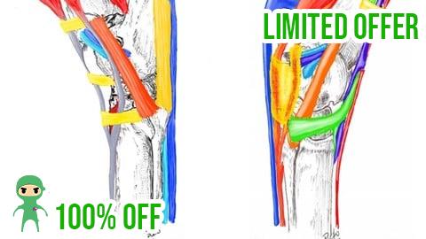 Free Coupon Tarso equino, anatomia, biomecánica y casos clínicos