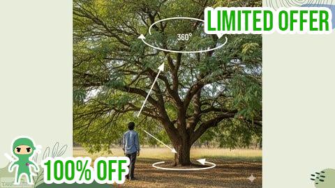 Free Coupon Tree Risk Inspection Basics: Assessing for health and safety