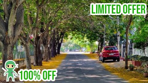 Free Coupon Urban Tree Planting