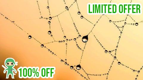 Free Coupon WEB3 Token Gating. Create an NFT gated website from scratch